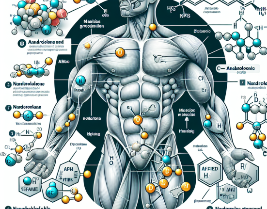 Anabole Steroide im Zyklus: Die Rolle von Nandrolon im Detail