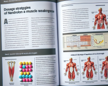 Dosierungsstrategien bei Muskelschwäche: Wie Nandrolon decanoat helfen kann