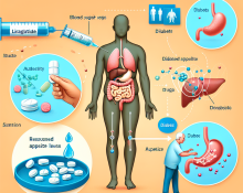 Wie Liraglutid bei der Behandlung von Übergewicht bei Diabetespatienten hilft